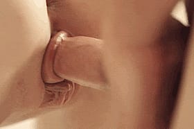 Penetrating the Pussy: A Close-Up View of the Penis Entering'
