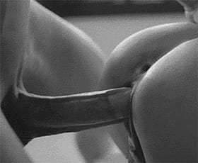 Ass-Pounding Hardcore Fucking: Get Your Ass Fucked Hard'