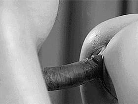 Black and White Doggy Style Erotic Penetration'