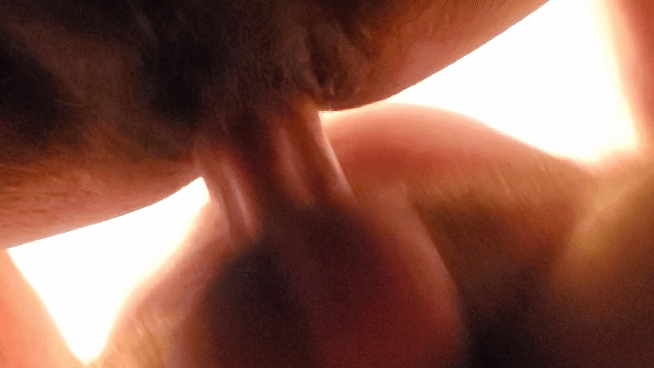Hardcore Dirty Pussy Eating picture 1 of 1