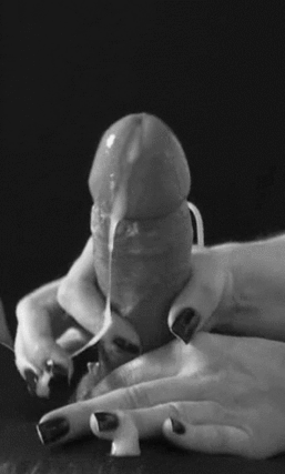 Suck my dick, bitch: A hot, wet, and wild ride picture 1 of 1