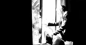 Jenni Lee's Wild Window Adventure'