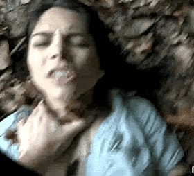 Wild Woods Wham-Bam'