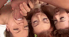 Triple the Pleasure: One Lucky Cock and Three Eager Mouths'