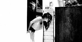 Jenni Lee's Wild Window Adventure'